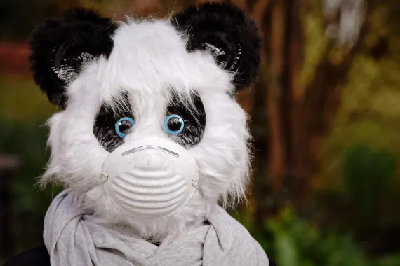 Καζίνο Καβαρετ Κλαμπ Υποστηριξη